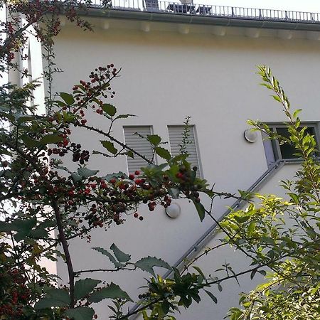 Apartmán Petite Bellevue II Baden-Baden Exteriér fotografie